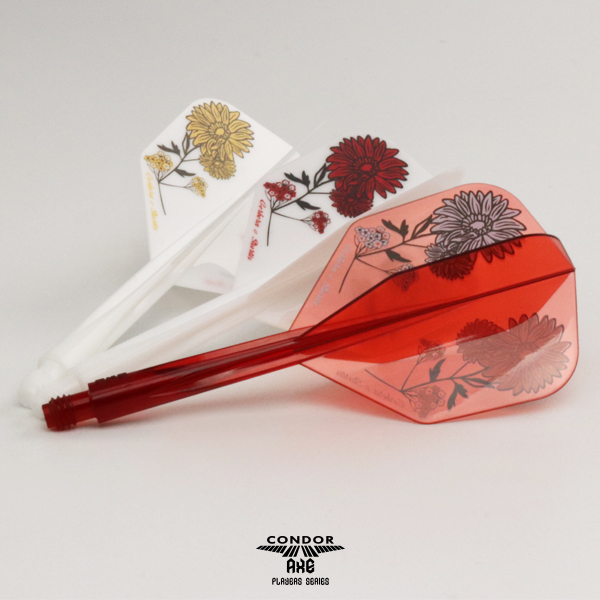 CONDOR AXE Gerbera & Statice Mix - Small - verschiedene Größen – Bild 5
