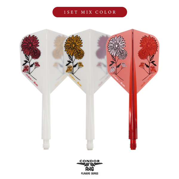 CONDOR AXE Gerbera & Statice Mix - Small - verschiedene Größen