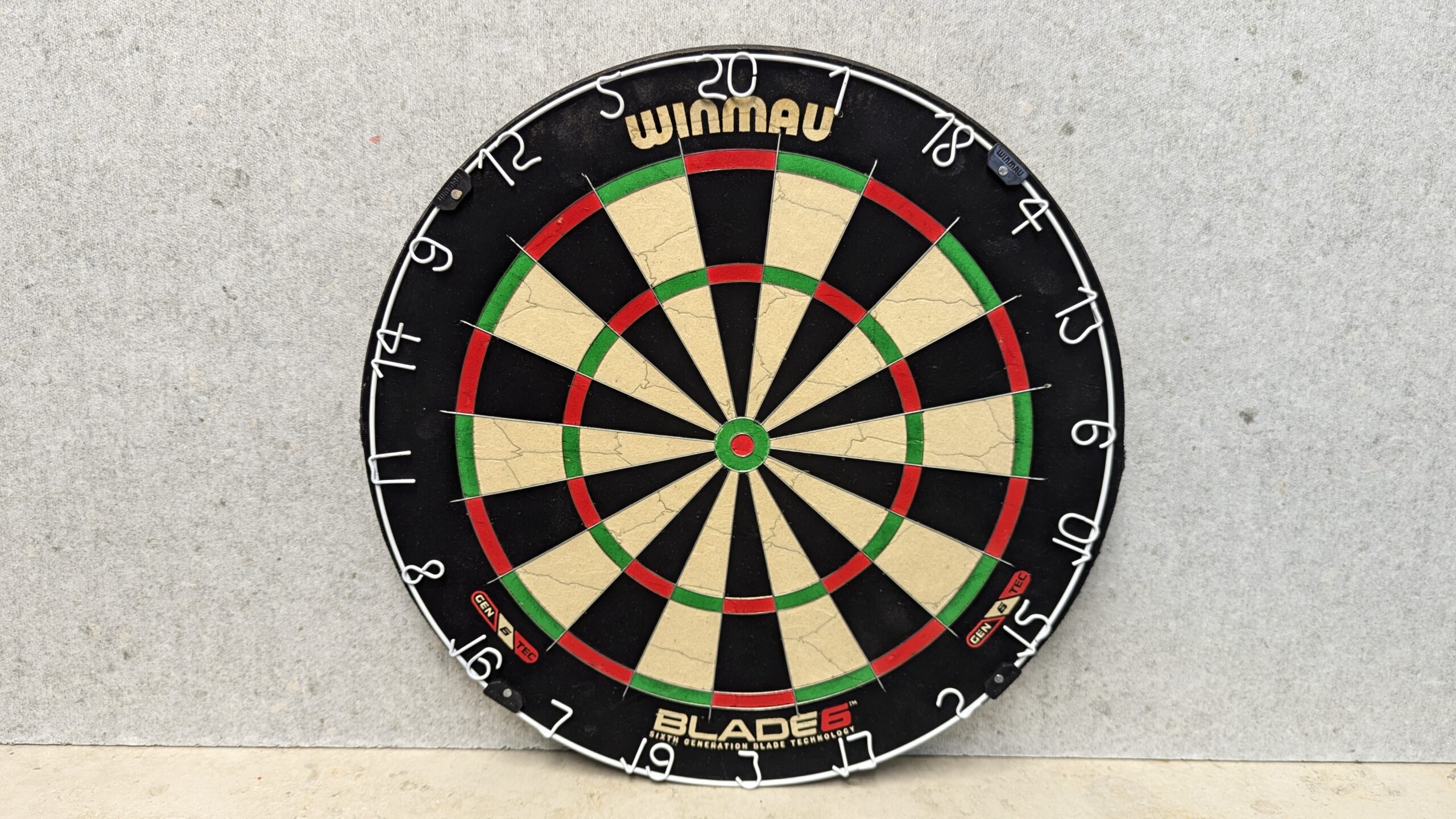 Winmau - Blade 6 - Wasserschaden (1)